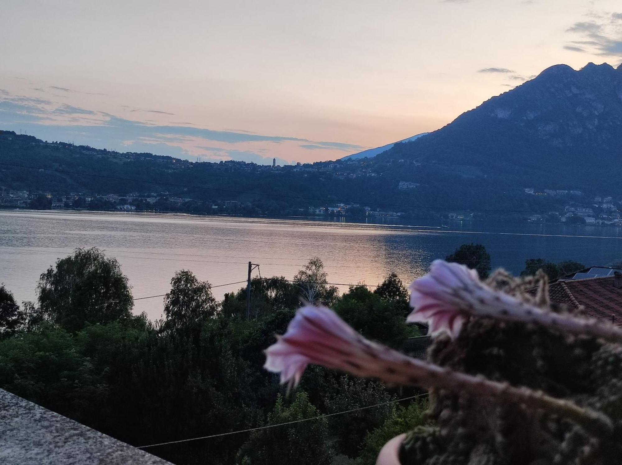 Terrazzo Sul Lago เลคโค ภายนอก รูปภาพ